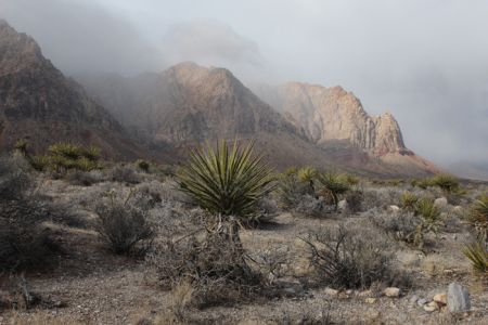 Red Rock Canyon National Conservation Area. Photo by John Hiscock Nevada