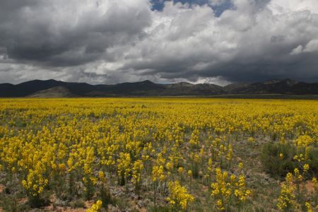 Beautiful day in the San Luis Valley near the Old Spanish Trail. Photo by John Hiscock. Colorado